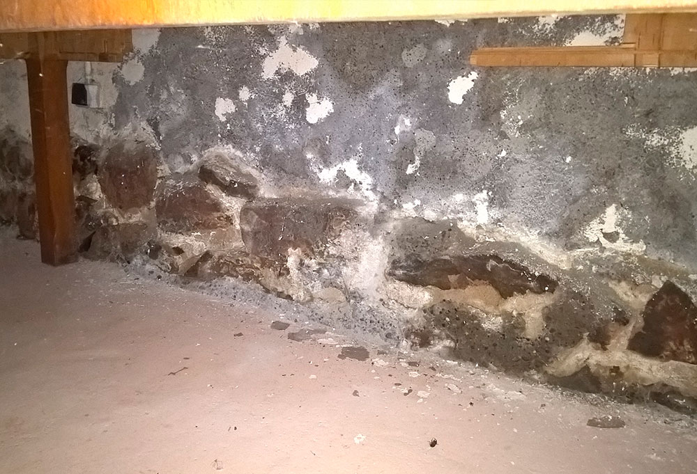 Degats de merule sur mur de cave avec moisissures blanches