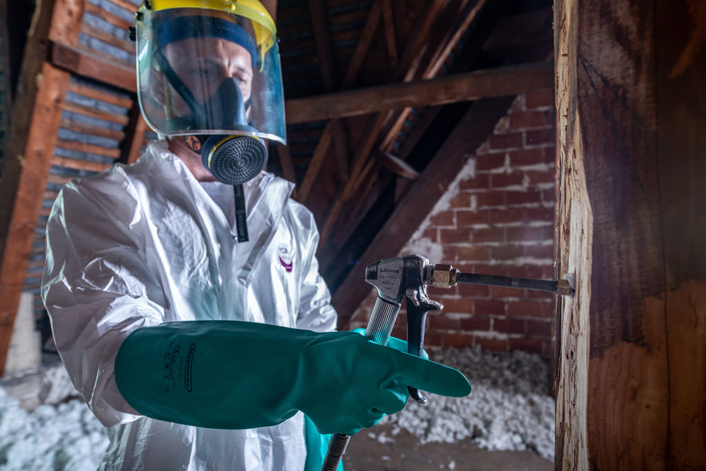 Expert injectant un traitement dans une poutre de charpente